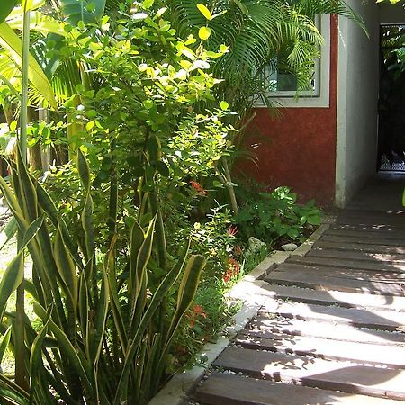Apartmán Elements Of The Island Isla Mujeres Exteriér fotografie
