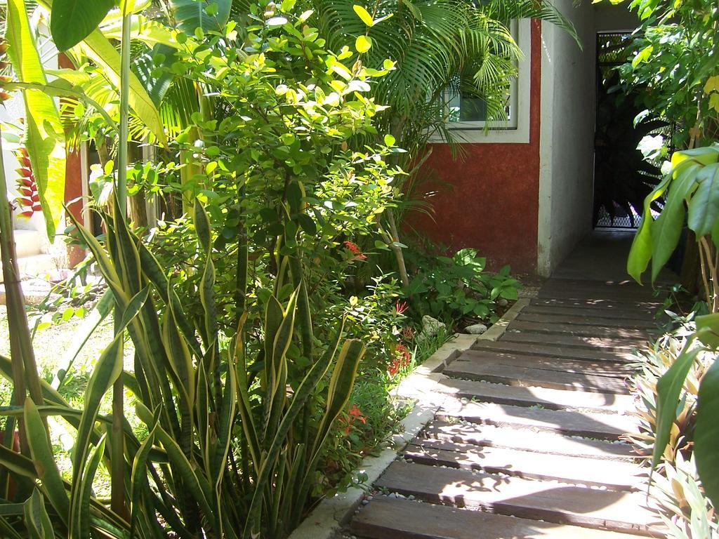 Apartmán Elements Of The Island Isla Mujeres Exteriér fotografie
