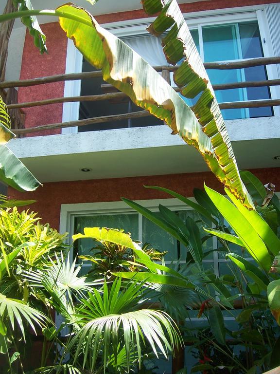 Apartmán Elements Of The Island Isla Mujeres Exteriér fotografie